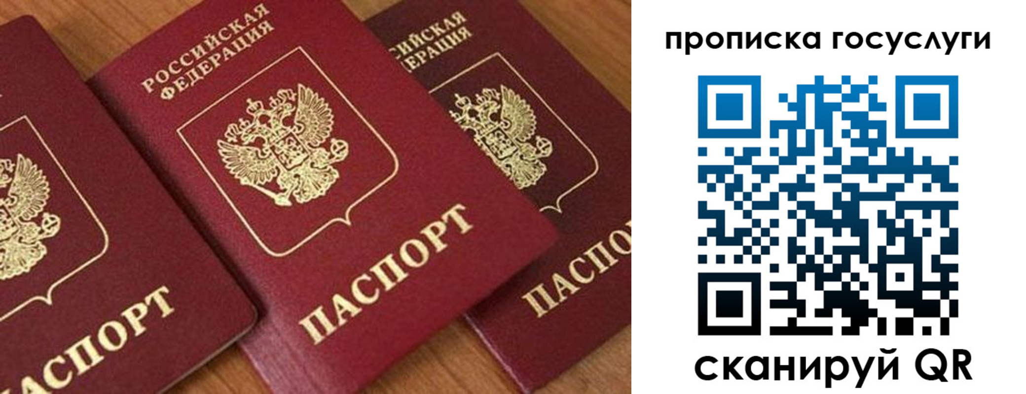 временная прописка в Асино